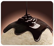 �n�[�V�[ �V�F���g�b�s���O �`���R���[�g