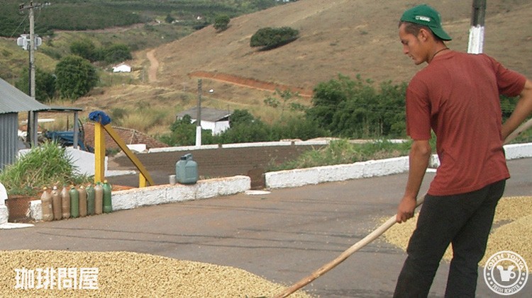 ���J�Ȋ������