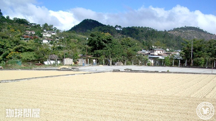 �V�������E�����L��ɁI