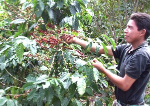 �`�F���[�����n