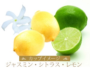 �j�J���O�A �������V�[�W���_�� �W���o�j�J�̍���