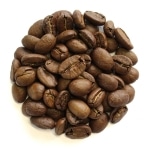 �x�g�i�� �G�o�[�O���[��