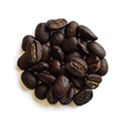 �t���V�e�B�[