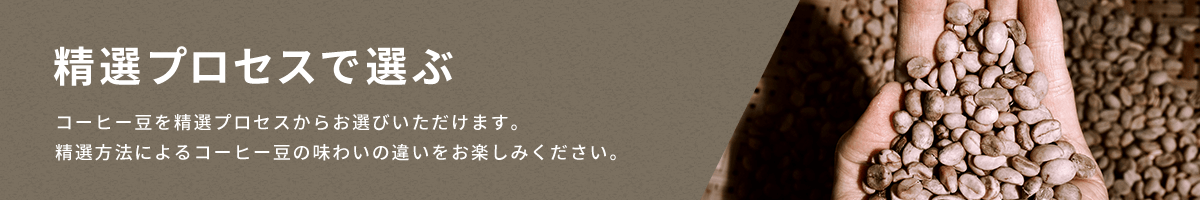 ���I�v���Z�X����I��