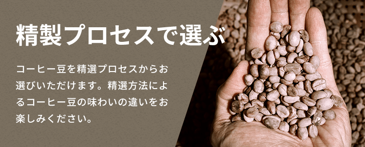 ���I�v���Z�X����I��