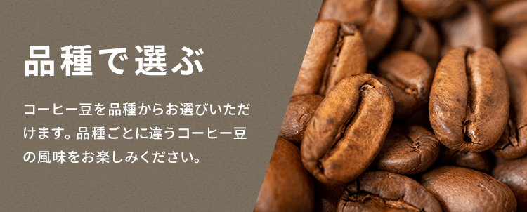 ���I�v���Z�X����I��