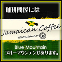 ブルーマウンテン